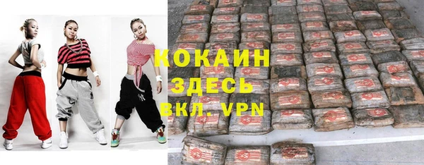 дмт Алзамай