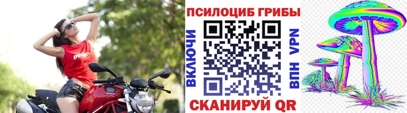Галлюциногенные грибы мухоморы даркнет клад Собинка